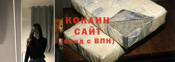 твердый Осинники