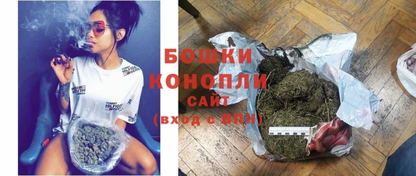 твердый Осинники