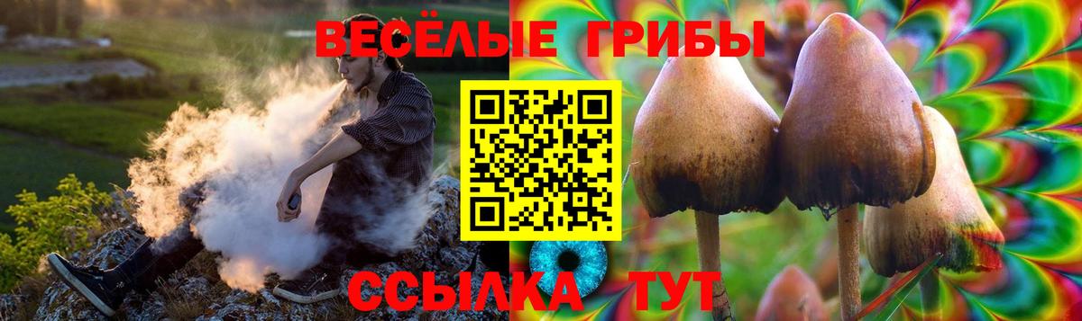 Галлюциногенные грибы ЛСД Хабаровск